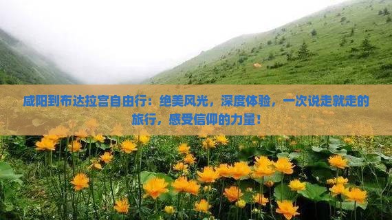 咸阳到西藏布达拉宫自由行