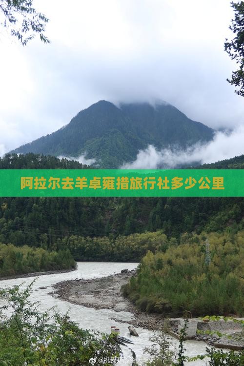 阿拉尔去西藏羊卓雍措旅行社