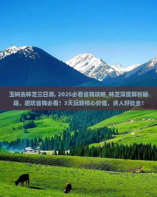 玉树去西藏林芝三日游