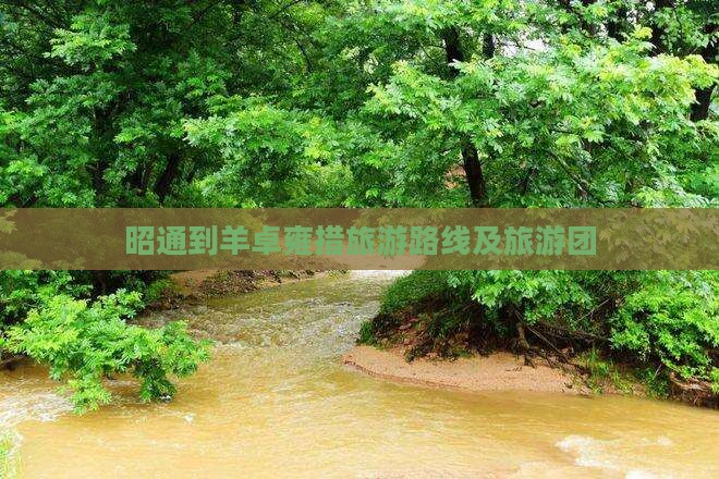 昭通到西藏羊卓雍措旅游