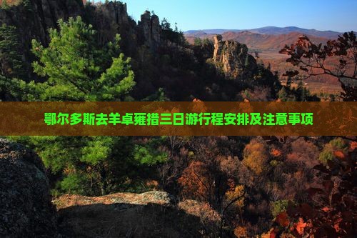 鄂尔多斯去西藏羊卓雍措三日游