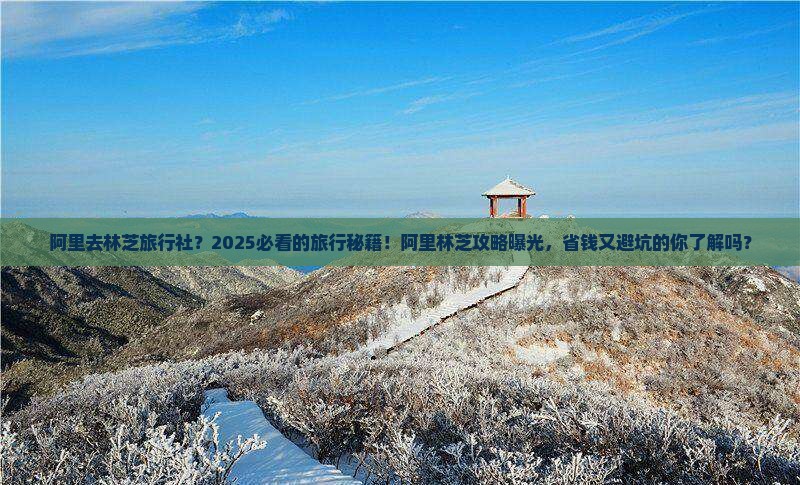 阿里去西藏林芝旅行社