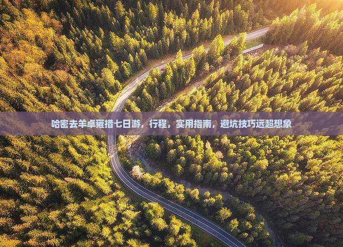 哈密去西藏羊卓雍措七日游