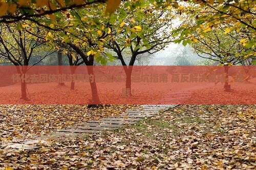 怀化去西藏团体旅游