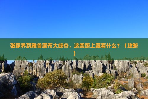 张家界到西藏雅鲁藏布大峡谷必去地