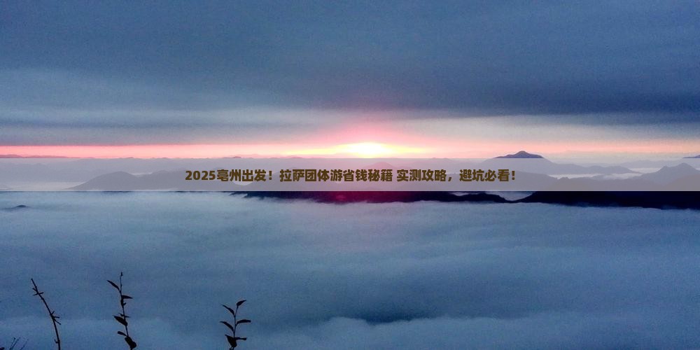 亳州到西藏拉萨团体旅游