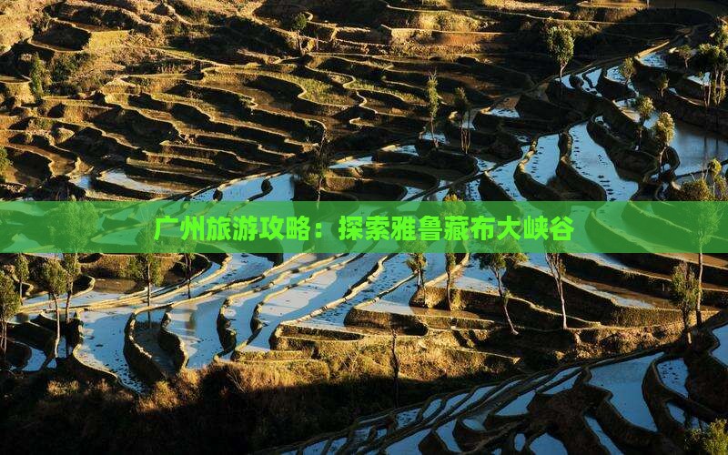 广州去西藏雅鲁藏布大峡谷旅游