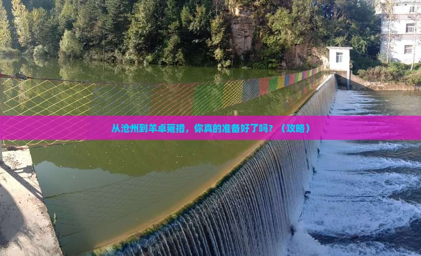 沧州到西藏羊卓雍措必去地