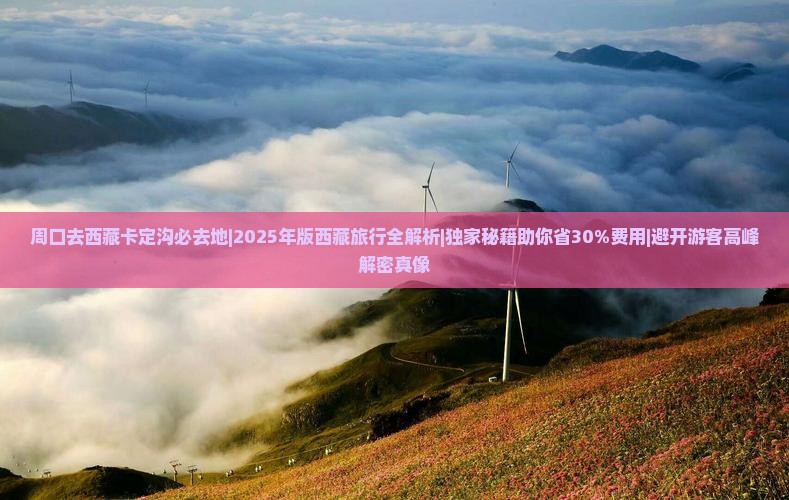 周口去西藏卡定沟必去地