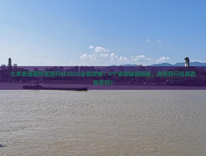 大丰去西藏林芝旅行社
