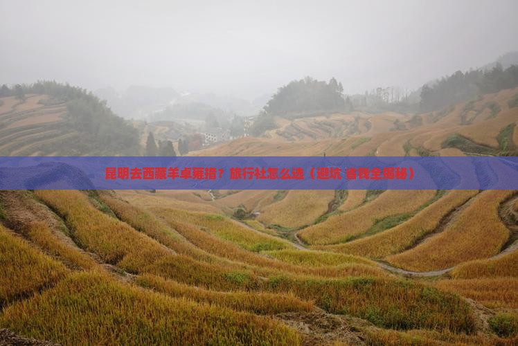 昆明去西藏羊卓雍措旅行社