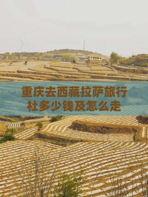 重庆去西藏拉萨旅行社