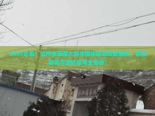 沧州去西藏大昭寺团体旅游