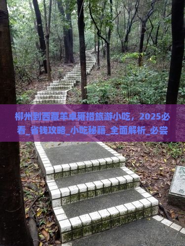 柳州到西藏羊卓雍措旅游小吃