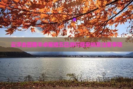 云浮去西藏羊卓雍措五日游