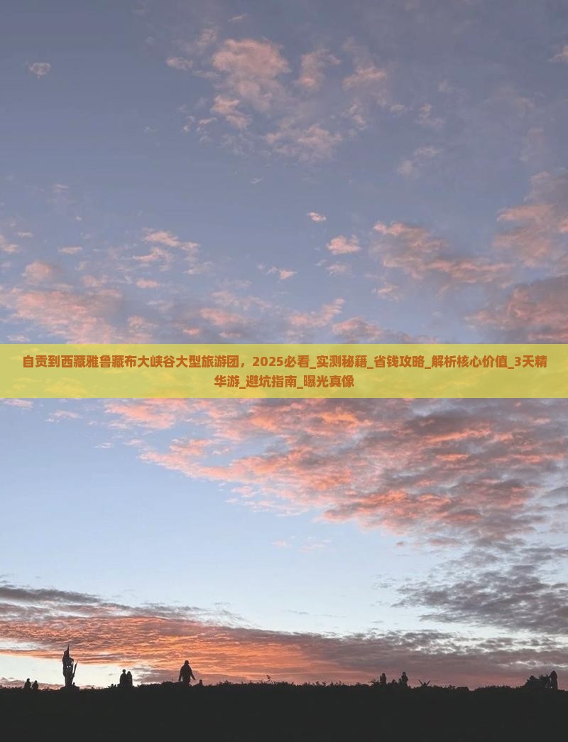 自贡到西藏雅鲁藏布大峡谷大型旅游团