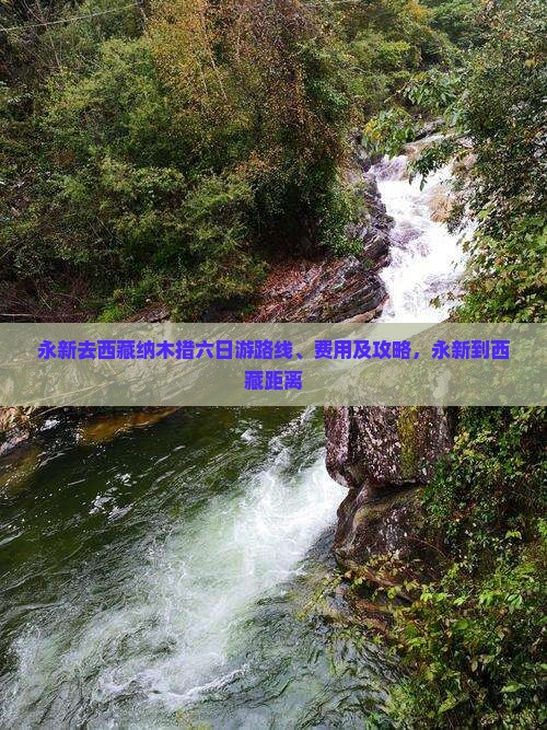 永新去西藏纳木措六日游