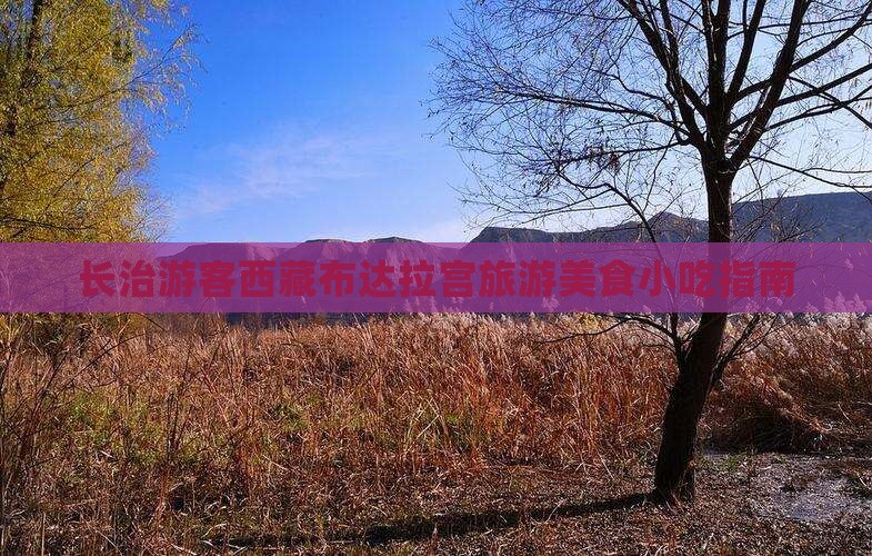 长治去西藏布达拉宫旅游小吃