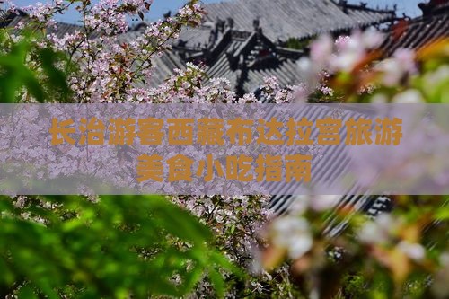 长治去西藏布达拉宫旅游小吃