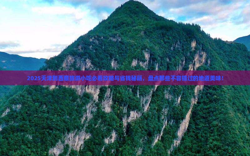 天津到西藏旅游小吃
