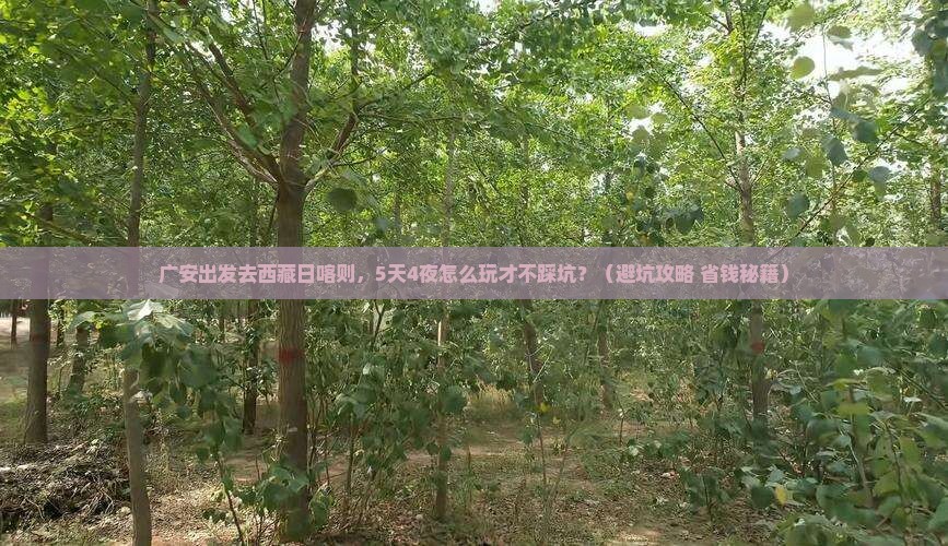 广安到西藏日喀则个人游