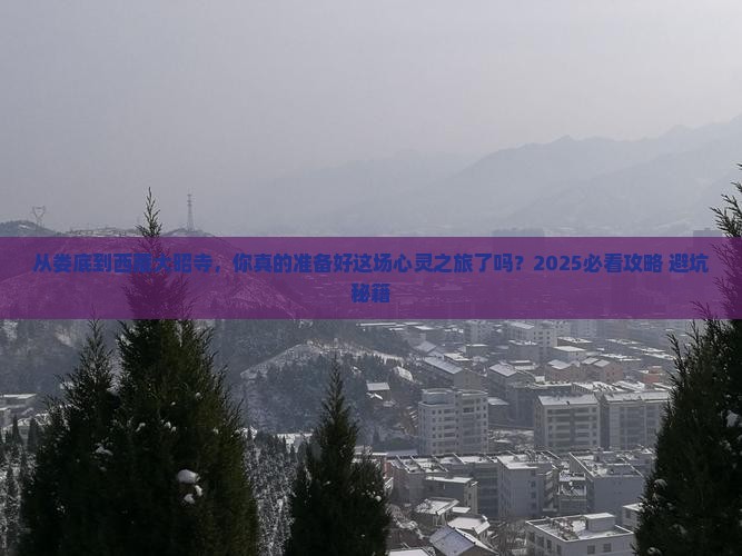 娄底到西藏大昭寺大型旅游团