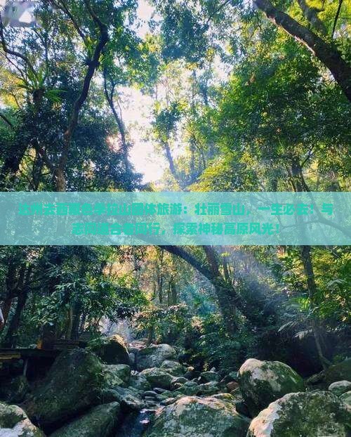 达州去西藏色季拉山团体旅游