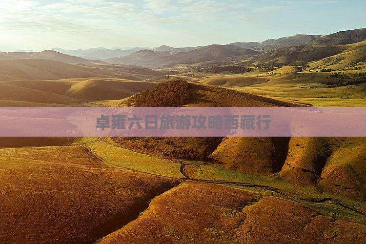 宜春去西藏羊卓雍措六日游