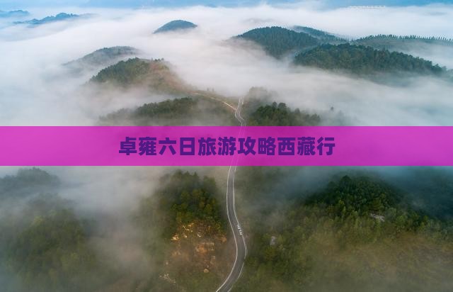 宜春去西藏羊卓雍措六日游