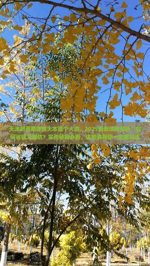 天津到西藏珠峰大本营个人游