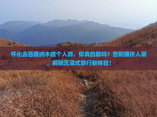 怀化去西藏纳木措个人游