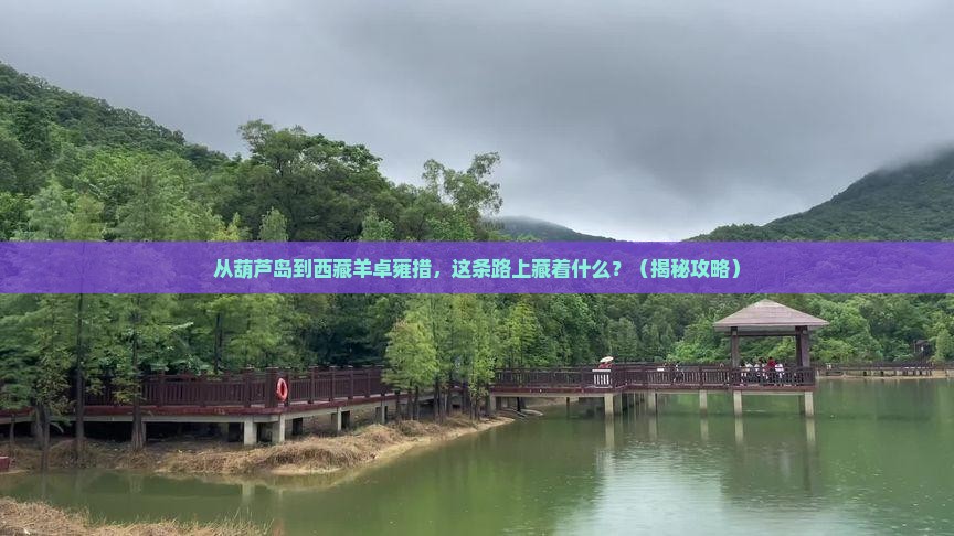 葫芦岛到西藏羊卓雍措哪里玩