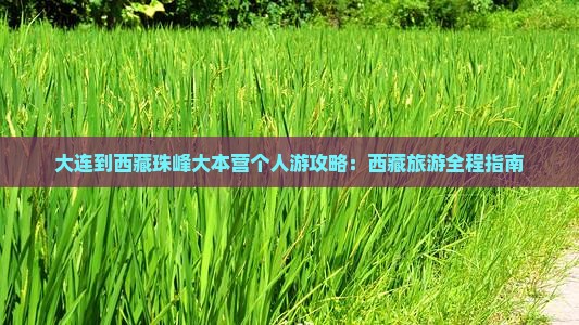 大连到西藏珠峰大本营个人游