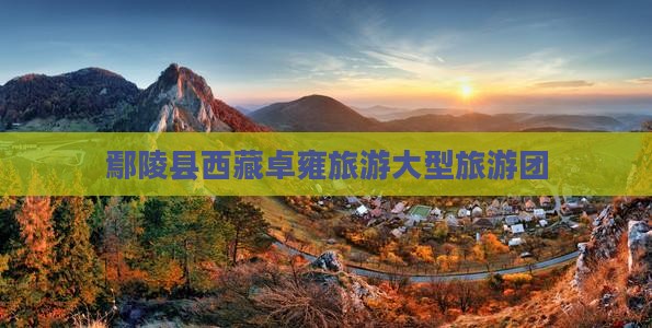 鄢陵县去西藏羊卓雍措大型旅游团