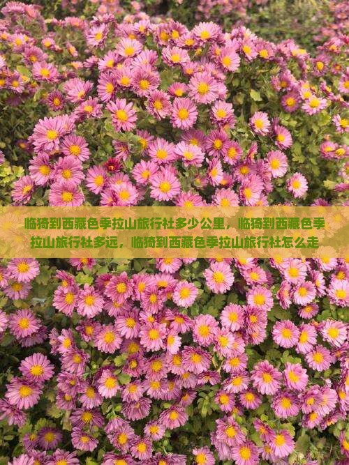 临猗到西藏色季拉山旅行社