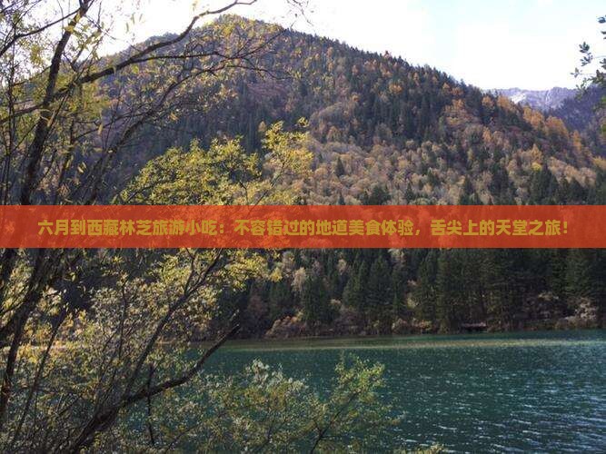 六月到西藏林芝旅游小吃