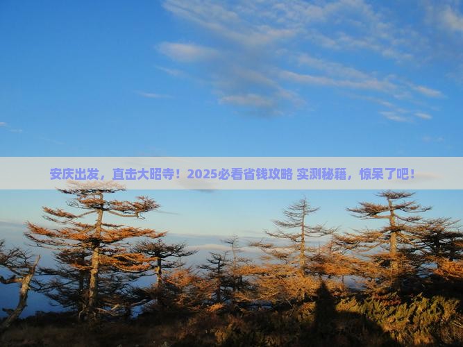 安庆到西藏大昭寺大型旅游团