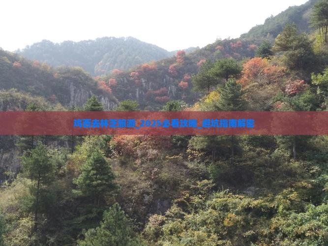 鸡西去西藏林芝旅游