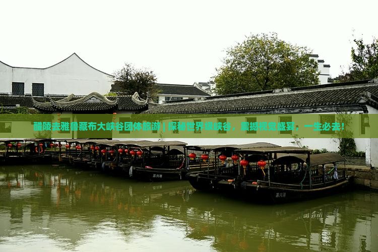 醴陵去西藏雅鲁藏布大峡谷团体旅游