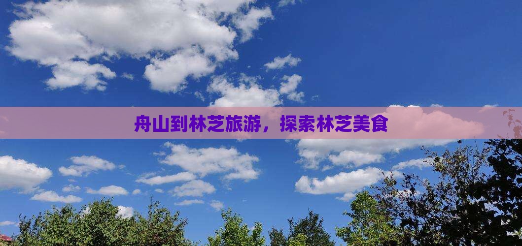 舟山到西藏林芝旅游小吃