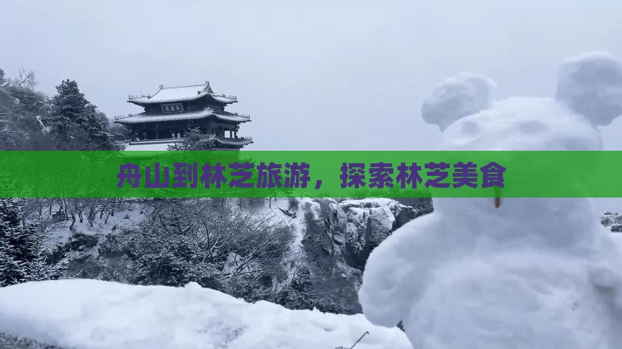 舟山到西藏林芝旅游小吃