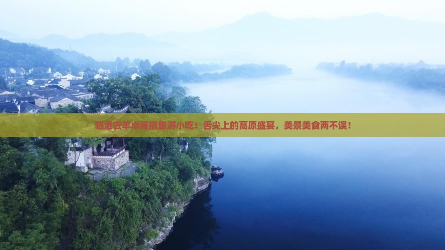 临沧去西藏羊卓雍措旅游小吃