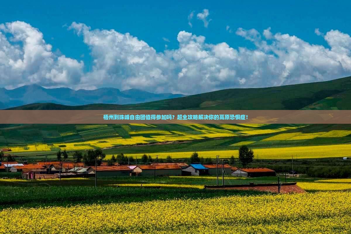 梧州到西藏珠峰大本营自由团