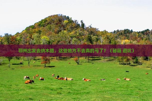 鄂州去西藏纳木措必去地