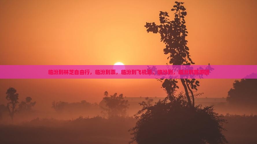 临汾到西藏林芝自由行