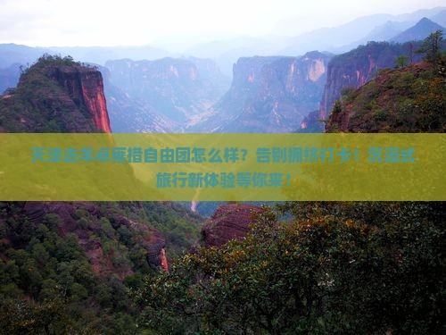 天津去西藏羊卓雍措自由团