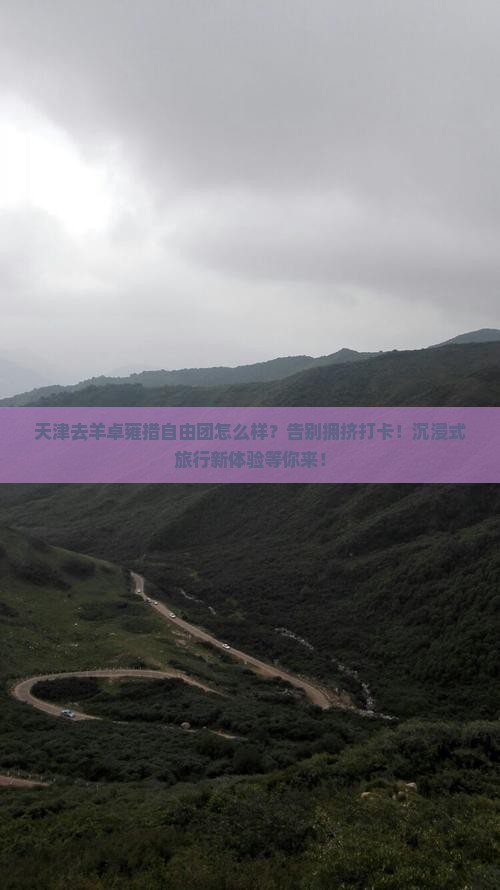 天津去西藏羊卓雍措自由团
