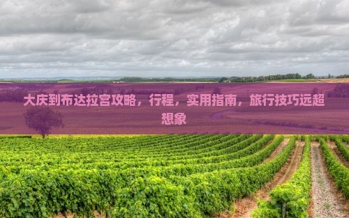 大庆到西藏布达拉宫攻略