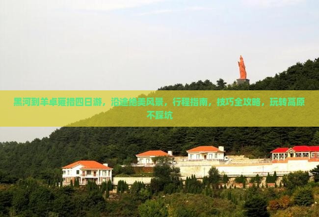 黑河到西藏羊卓雍措四日游