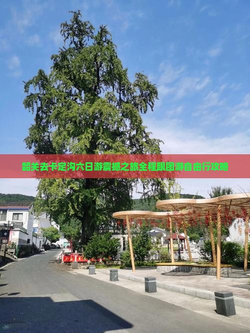 韶关去西藏卡定沟六日游